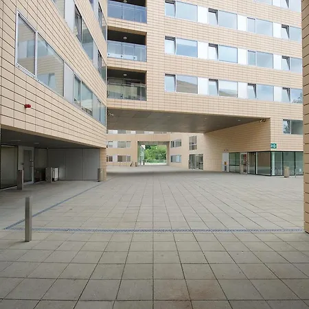 Victoria Mills - Ucc Summer Beds