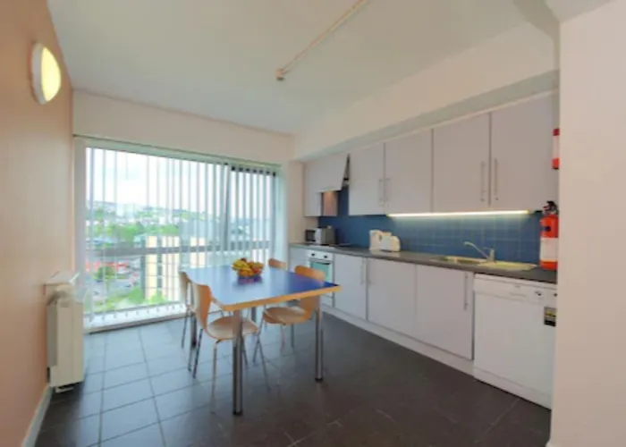 Victoria Mills - Ucc Summer Beds Apartment Cork